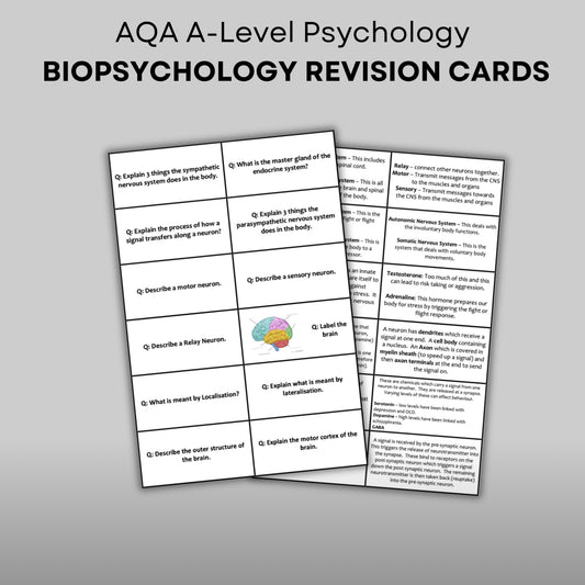 AQA A-Level Psychology Biopsychology Revision Cards