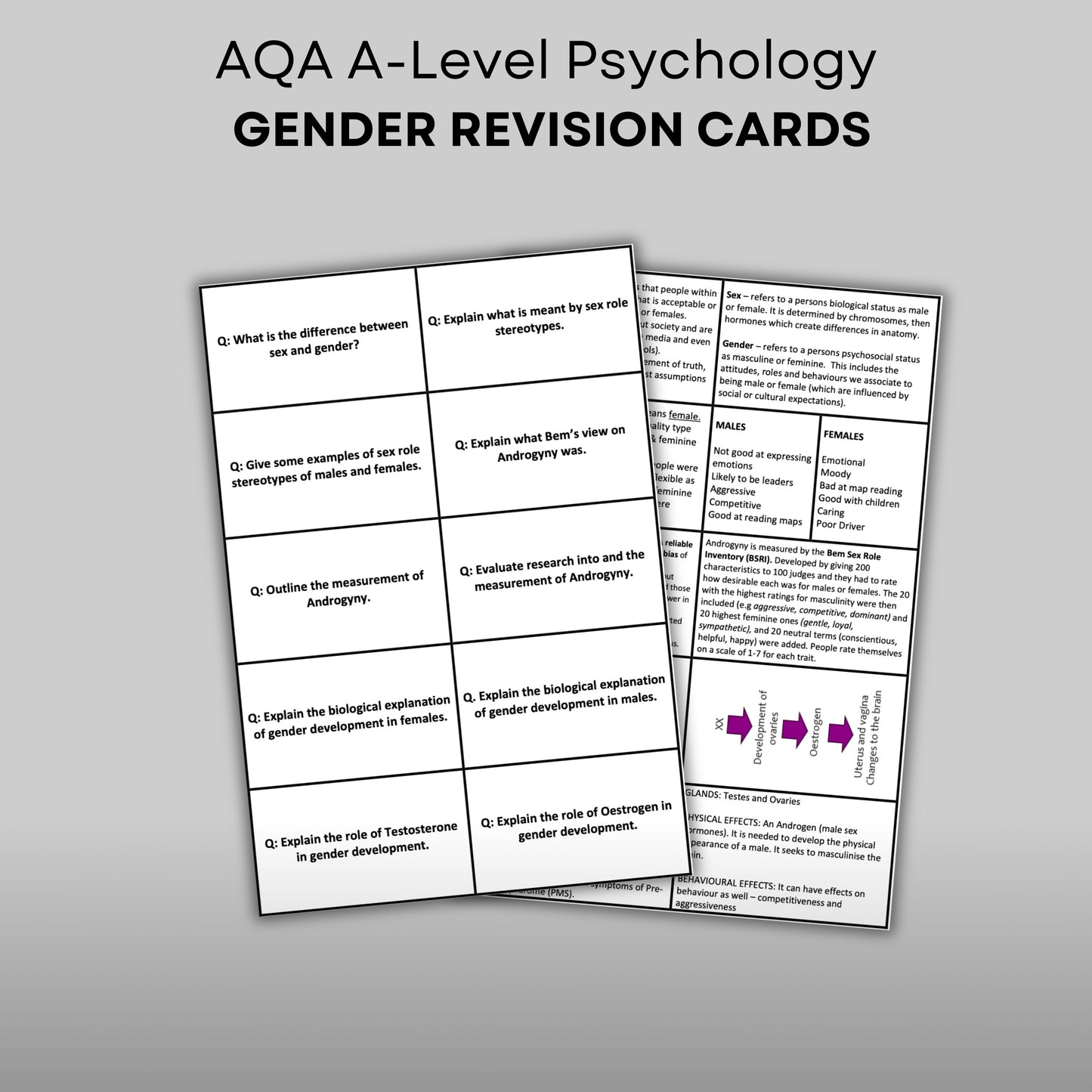 AQA A-Level Psychology Gender Revision Cards