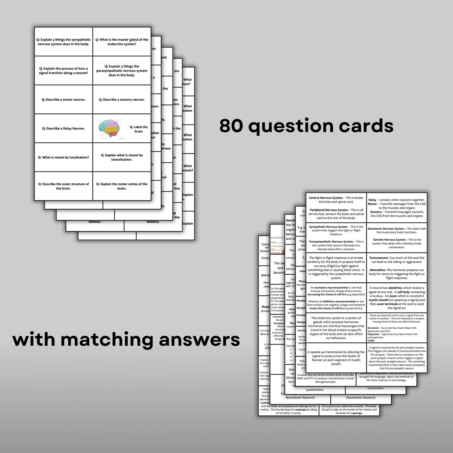 AQA A-Level Psychology Biopsychology Revision Cards