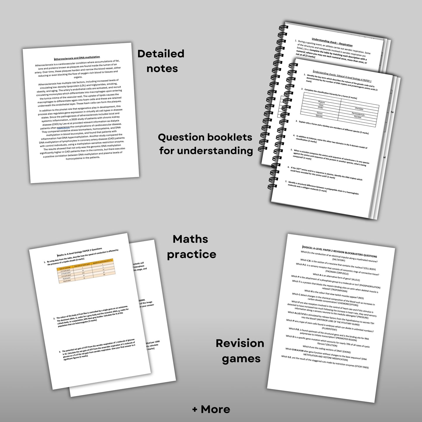 Edexcel A-Level Biology A Revision Bundle