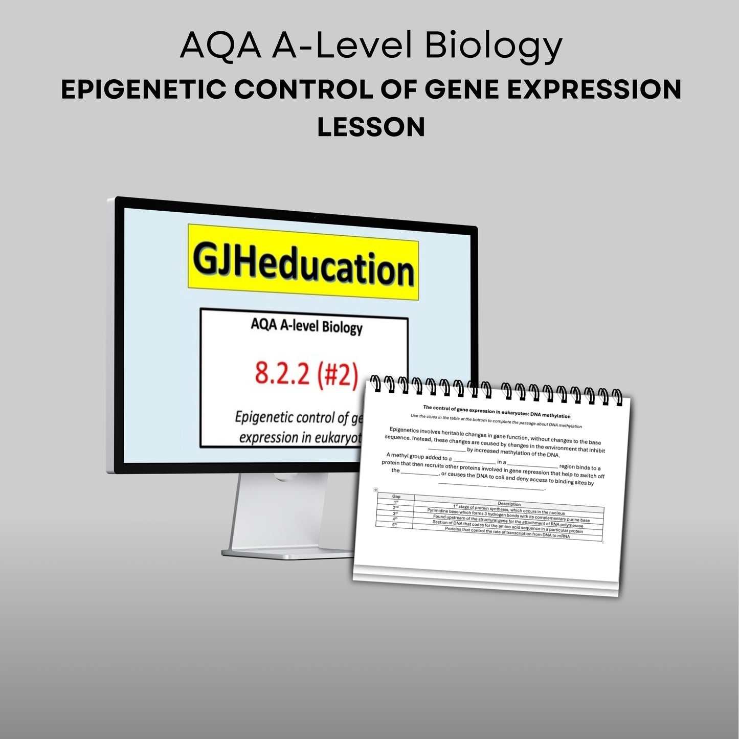 AQA A-Level Biology: Epigenetic Control of Gene Expression (8.2.2) Lesson