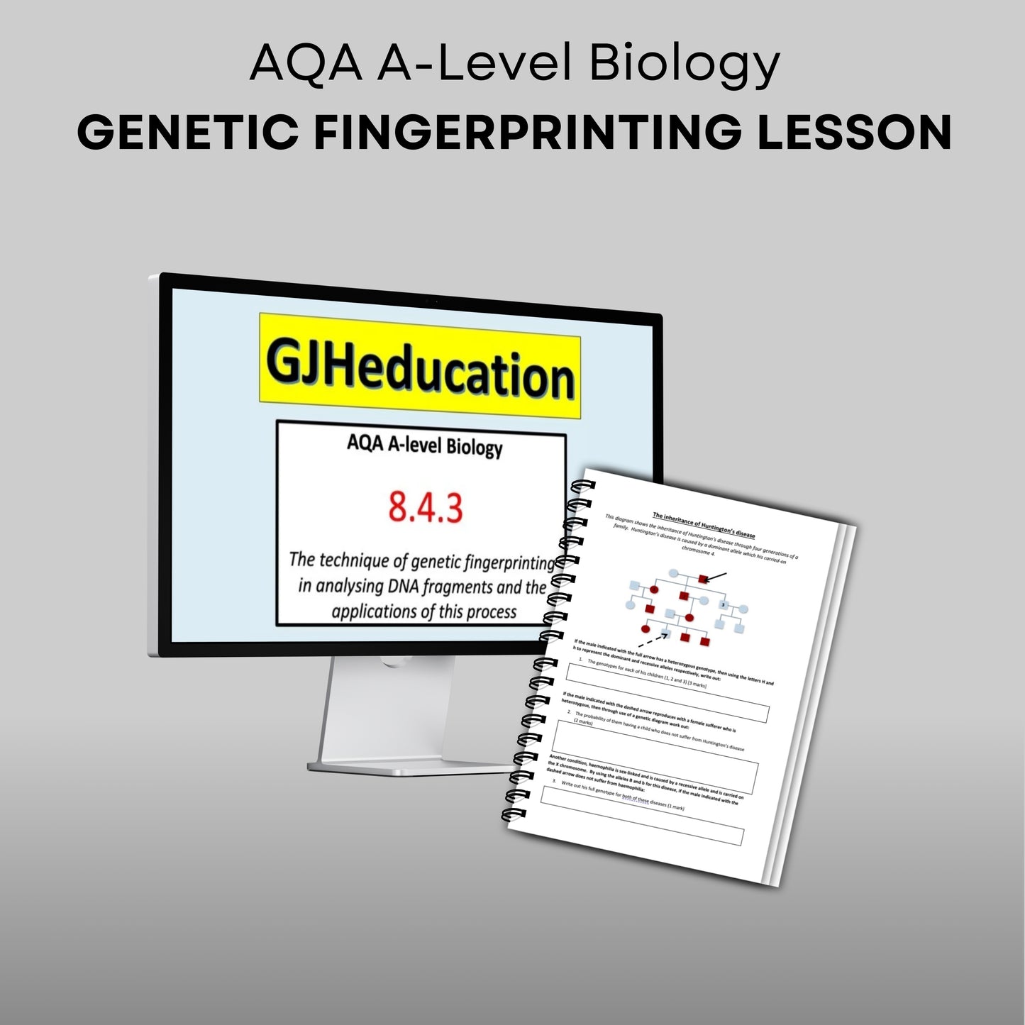 AQA A-Level Biology: Genetic Fingerprinting (8.4.3) Lesson